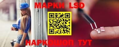 мяу мяу мука Майкоп